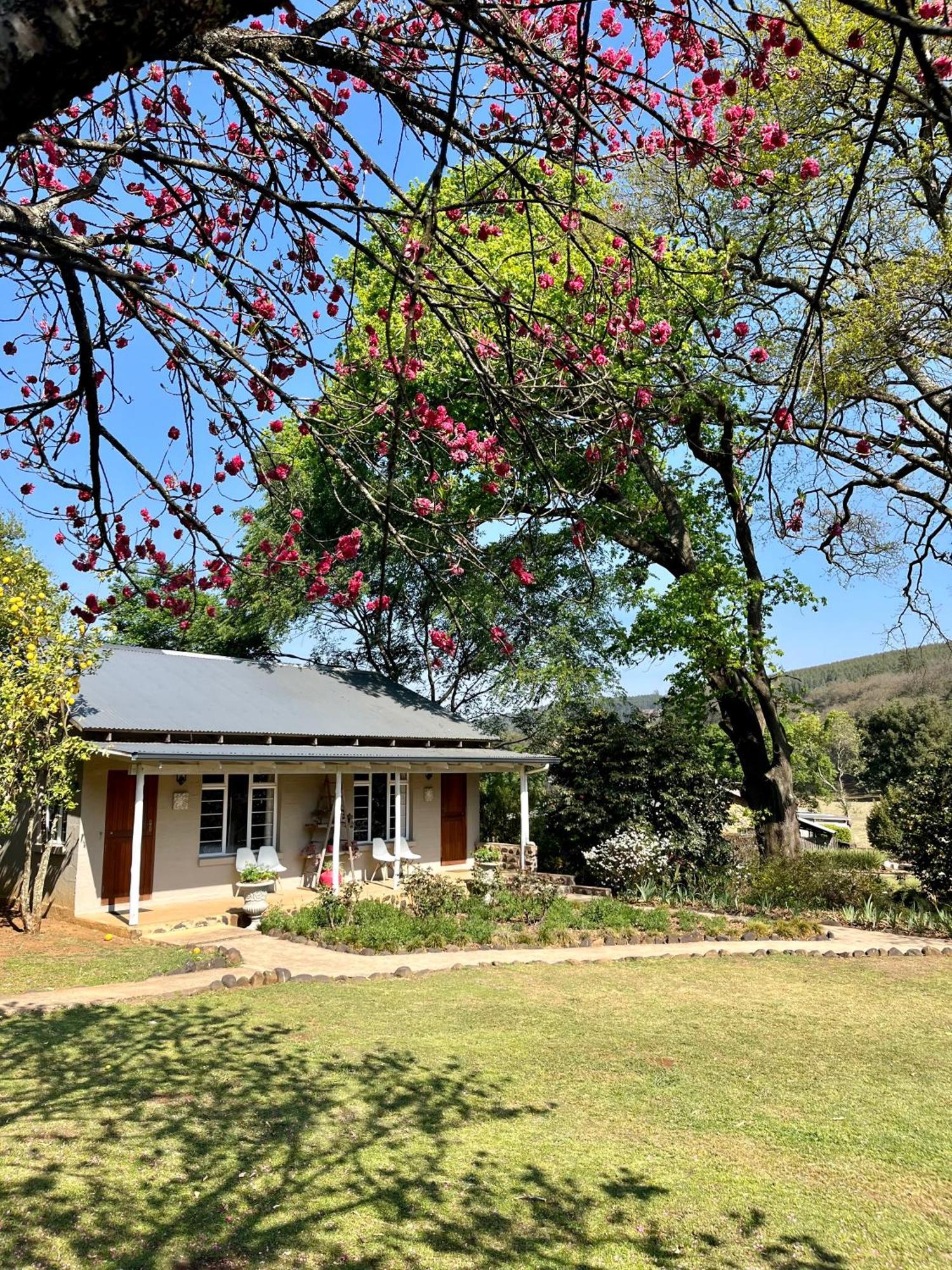 Gowan Valley Guest Farm Balgowan Εξωτερικό φωτογραφία